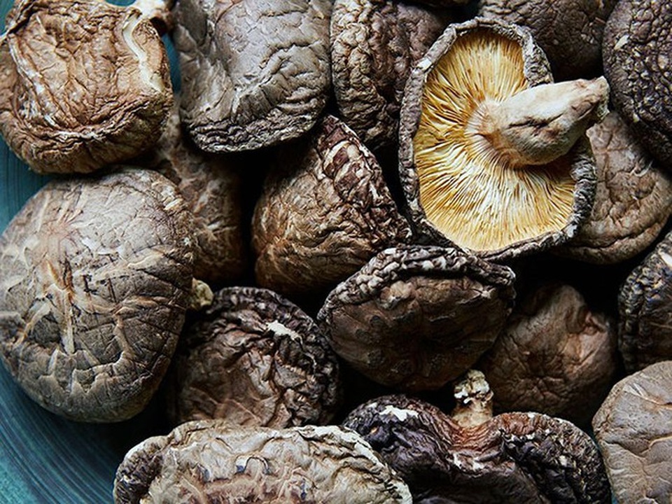 Giá gần 10 triệu đồng/kg, nấm hương Nhật được bà nội trợ Việt săn lùng - 1 Giá gần 10 triệu đồng/kg, nấm hương Nhật được bà nội trợ Việt săn lùng - 1