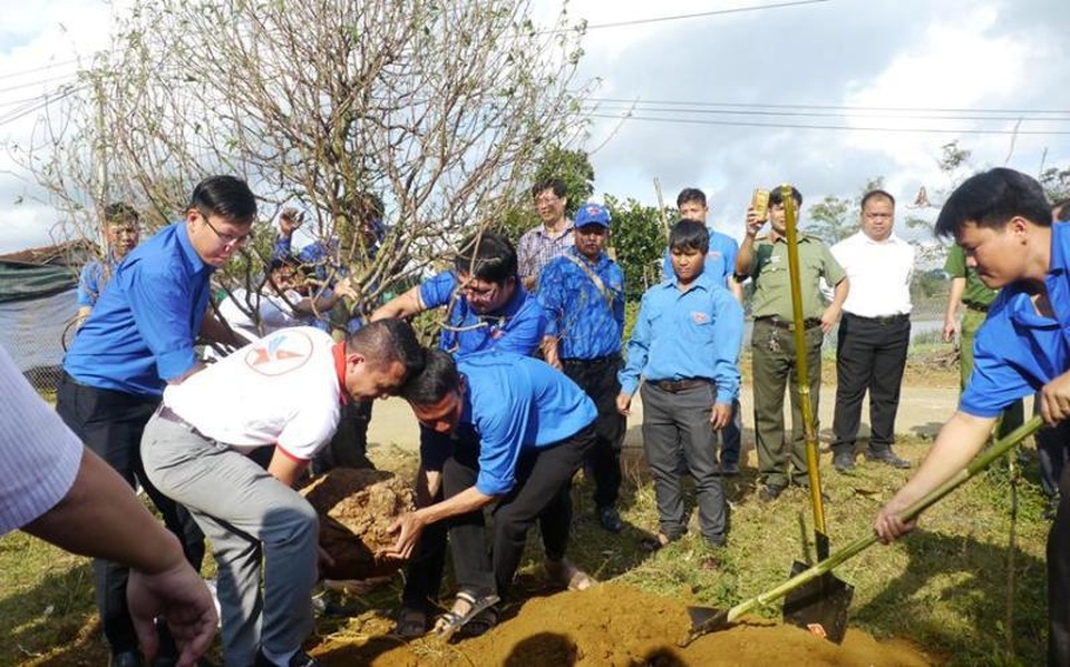 Xây dựng vườn hoa đào thanh niên “độc nhất” tại xã miền núi Vĩnh Sơn - 1 Xây dựng vườn hoa đào thanh niên “độc nhất” tại xã miền núi Vĩnh Sơn - 1