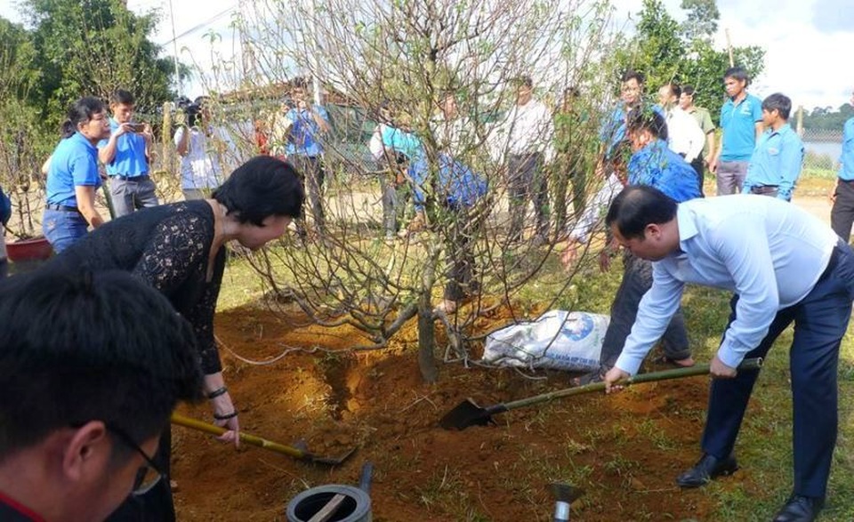 Xây dựng vườn hoa đào thanh niên “độc nhất” tại xã miền núi Vĩnh Sơn - 2 Xây dựng vườn hoa đào thanh niên “độc nhất” tại xã miền núi Vĩnh Sơn - 2