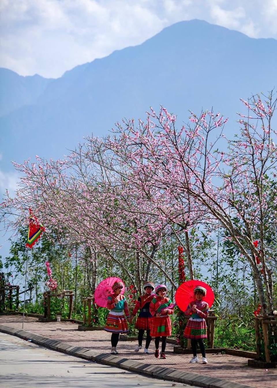 mùa đào sa pa.jpg
