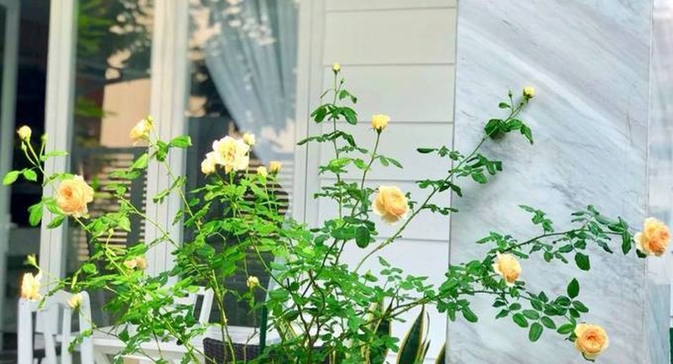 nha quyen linh 1.jpg nha quyen linh 1.jpg