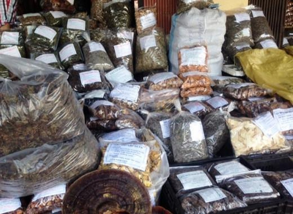 Người tiêu dùng thông thái nên chọn như thế nào trước cơn ác mộng dược liệu kém chất lượng? - 1