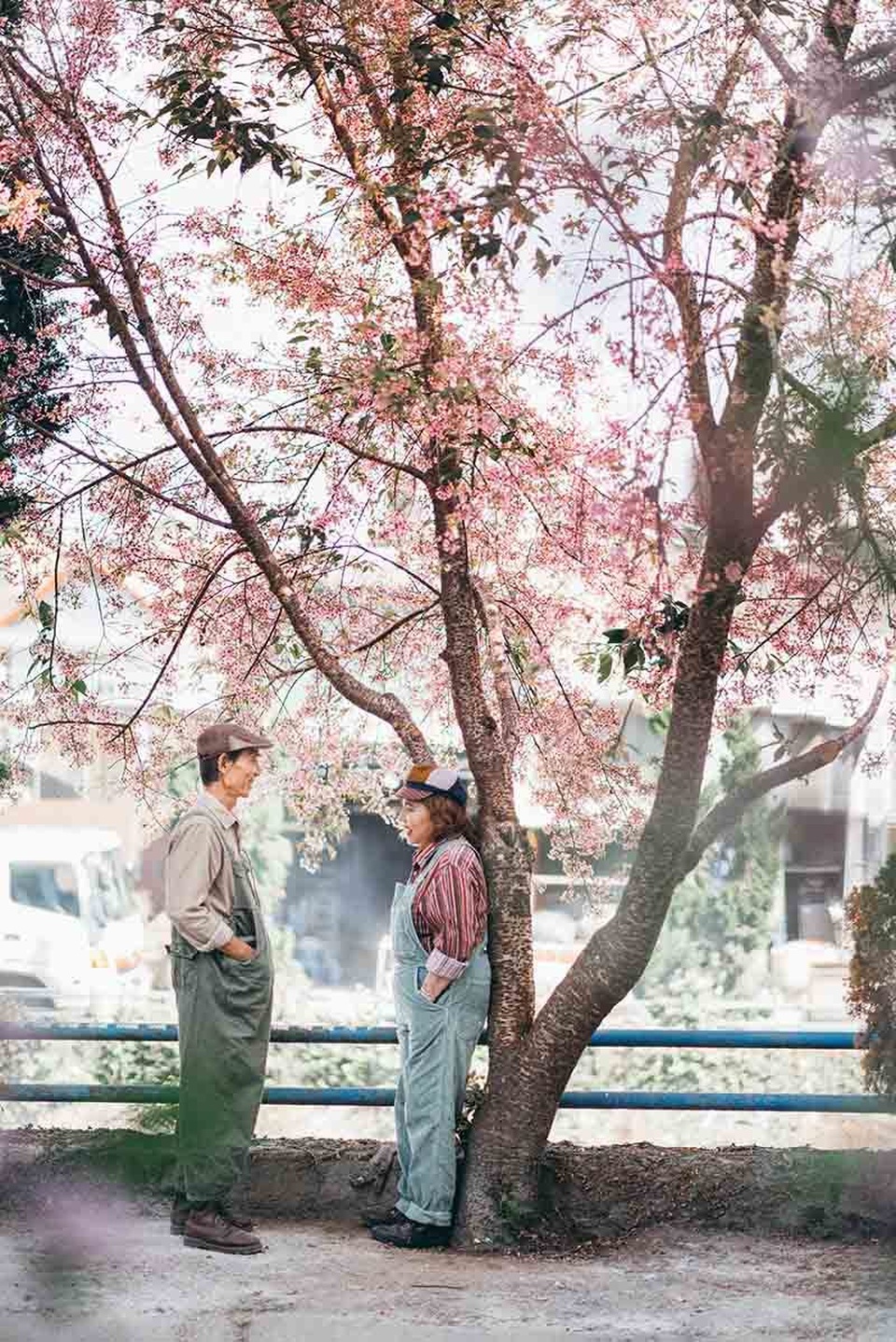 Ngưỡng mộ tình yêu gần 40 năm vẫn “xanh ngát” của hai ông bà Sài Gòn - 5 Ngưỡng mộ tình yêu gần 40 năm vẫn “xanh ngát” của hai ông bà Sài Gòn - 5