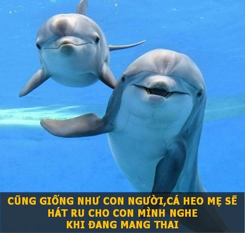 Những sự thật “đẹp” về thế giới cho ngày đầu tuần thêm niềm vui! - 1 Những sự thật “đẹp” về thế giới cho ngày đầu tuần thêm niềm vui! - 1
