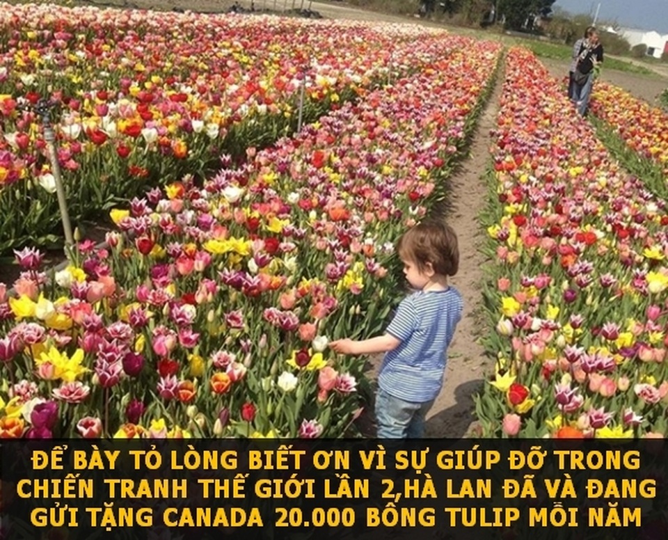 Những sự thật “đẹp” về thế giới cho ngày đầu tuần thêm niềm vui! - 4 Những sự thật “đẹp” về thế giới cho ngày đầu tuần thêm niềm vui! - 4