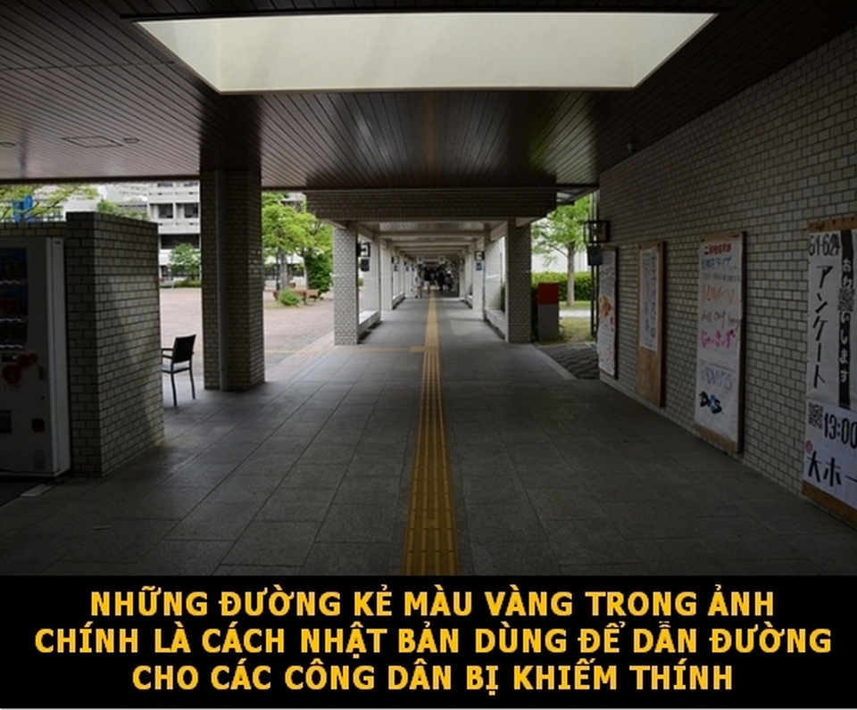 Những sự thật “đẹp” về thế giới cho ngày đầu tuần thêm niềm vui! - 5 Những sự thật “đẹp” về thế giới cho ngày đầu tuần thêm niềm vui! - 5