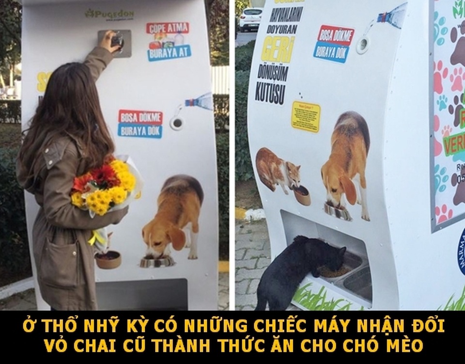 Những sự thật “đẹp” về thế giới cho ngày đầu tuần thêm niềm vui! - 6 Những sự thật “đẹp” về thế giới cho ngày đầu tuần thêm niềm vui! - 6