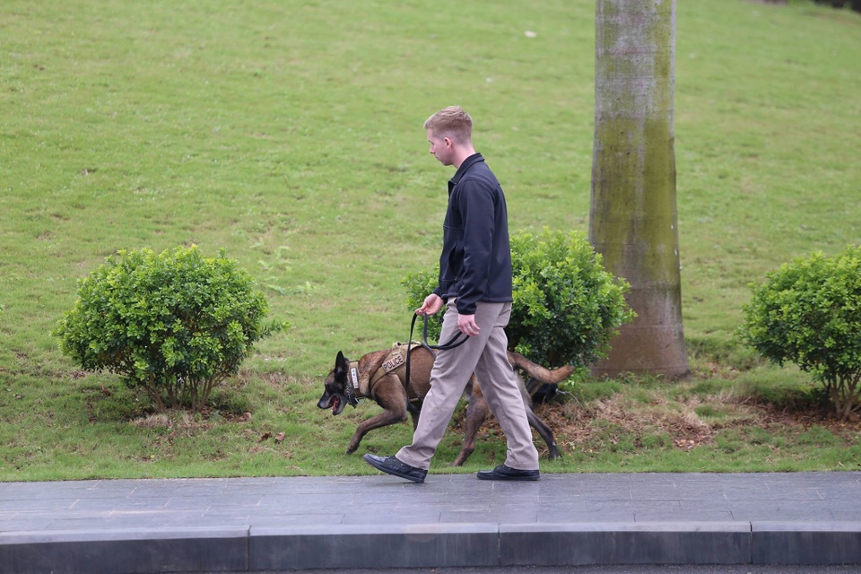 Chó nghiệp vụ tuần tra trong khuôn viên khách sạn Marriot - 2 Chó nghiệp vụ tuần tra trong khuôn viên khách sạn Marriot - 2