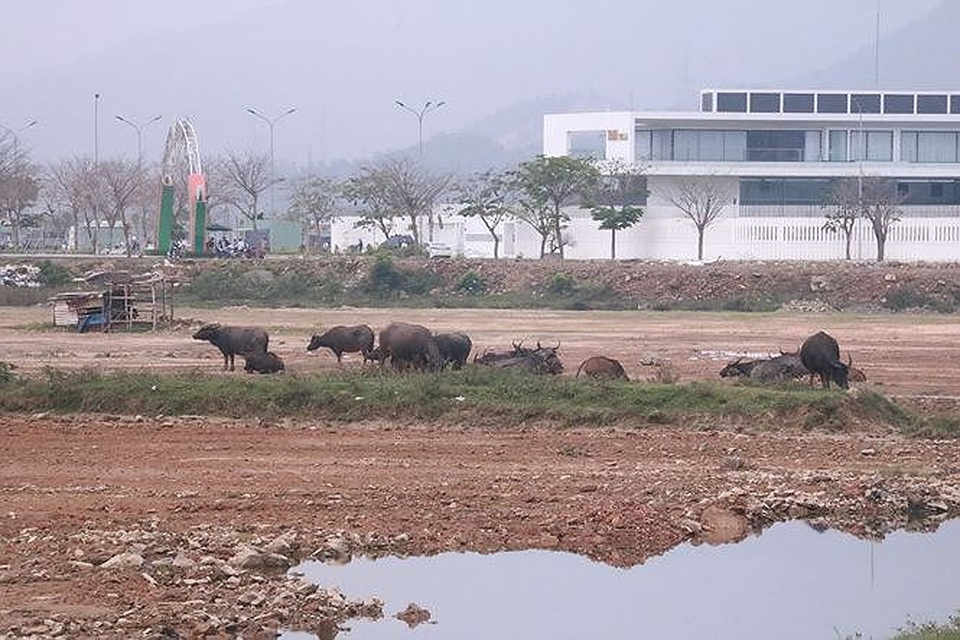 Đắp chiếu khắp nơi tăng vốn khủng, định lại giá nhiều khu đất vàng - 1 Đắp chiếu khắp nơi tăng vốn khủng, định lại giá nhiều khu đất vàng - 1