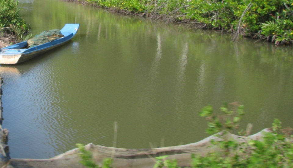 Phát hiện thi thể 2 cha con nổi trong vuông tôm - 1