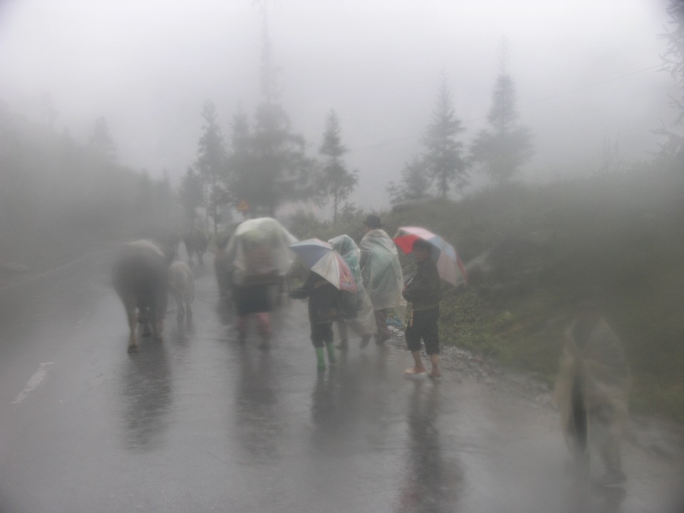 P1010215.JPG P1010215.JPG