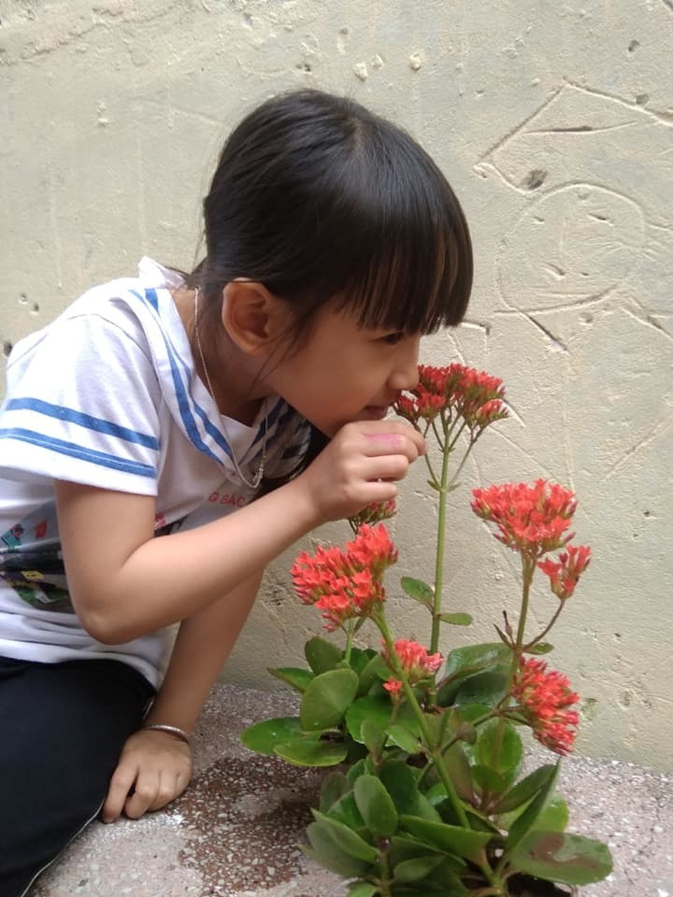 trong cay hoa.jpg trong cay hoa.jpg