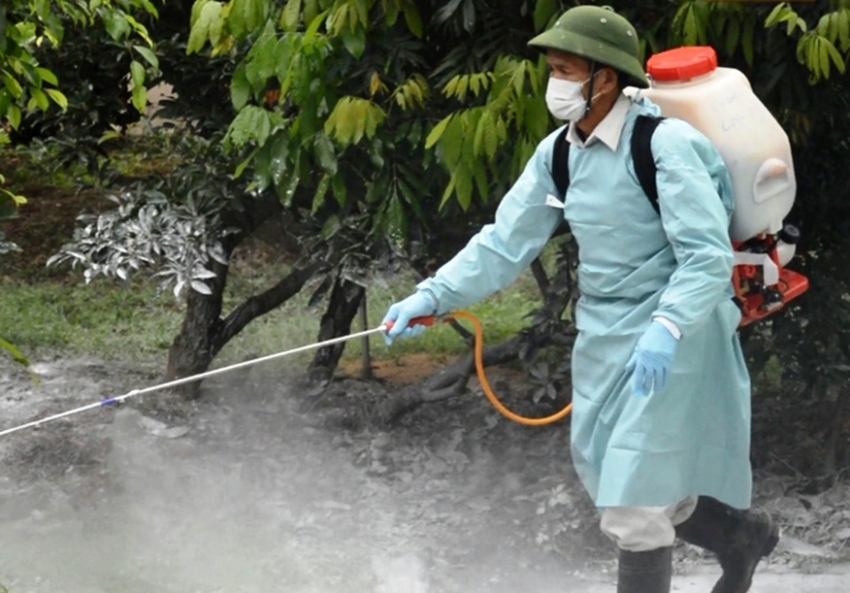 Thái Bình: Rốt ráo phòng chống lây lan dịch tả lợn châu Phi - 2