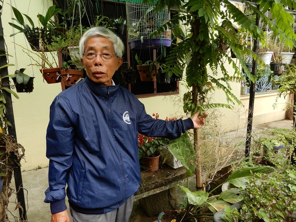 luong y tran dinh nien gioi thieu ve mot cay thuoc.JPG