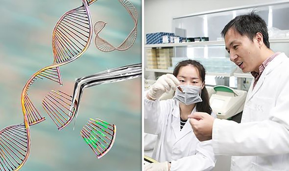 Các em bé biến đổi gene có thể thành… “siêu nhân” với bộ não được tăng cường - 1