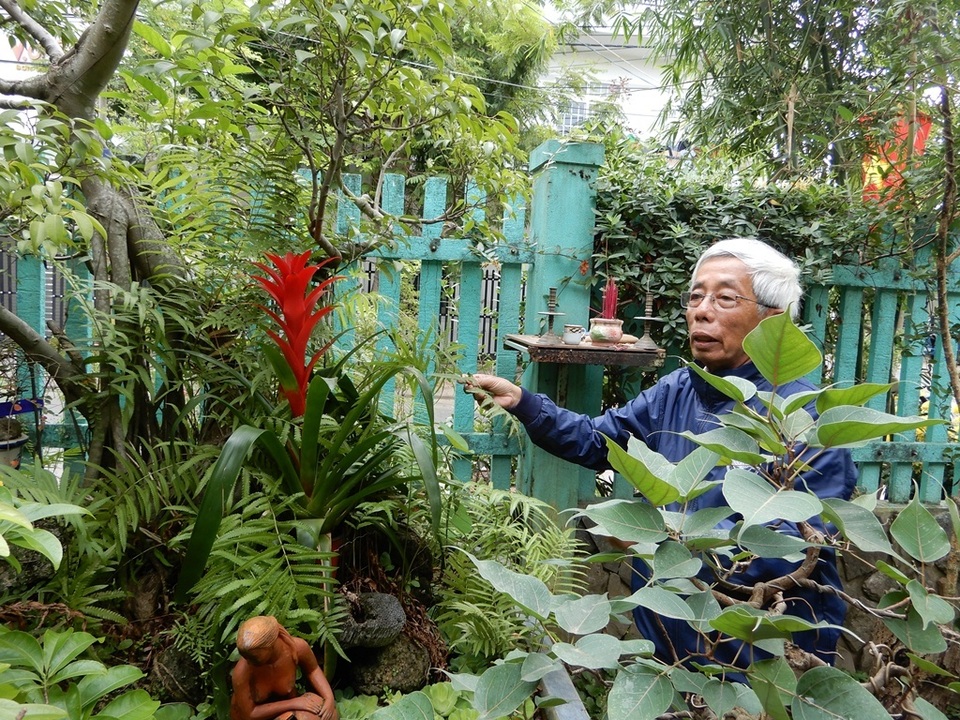 vuon thuoc cua luong y tran dinh nien co khoang 120 loại cay.JPG