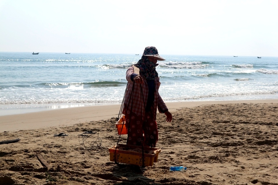 Ngư dân Quảng Nam trúng mùa ruốc Ngư dân Quảng Nam trúng mùa ruốc