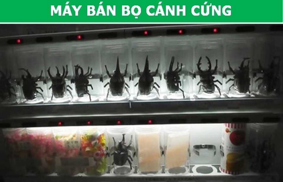 Ngỡ ngàng với những chiếc máy bán hàng tự động có một không hai ở Nhật Bản - 2 Ngỡ ngàng với những chiếc máy bán hàng tự động có một không hai ở Nhật Bản - 2
