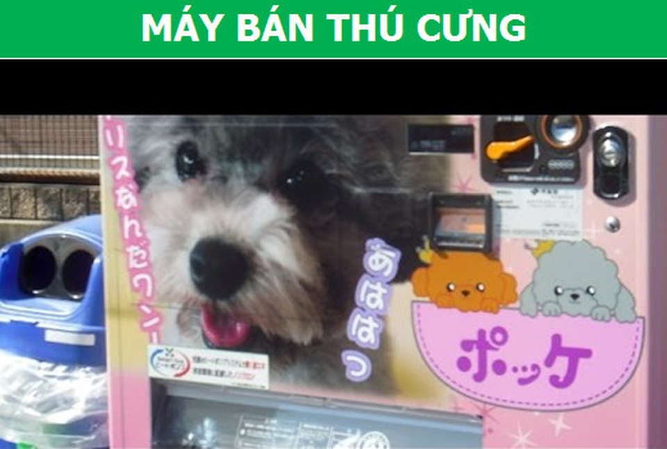 Ngỡ ngàng với những chiếc máy bán hàng tự động có một không hai ở Nhật Bản - 4 Ngỡ ngàng với những chiếc máy bán hàng tự động có một không hai ở Nhật Bản - 4