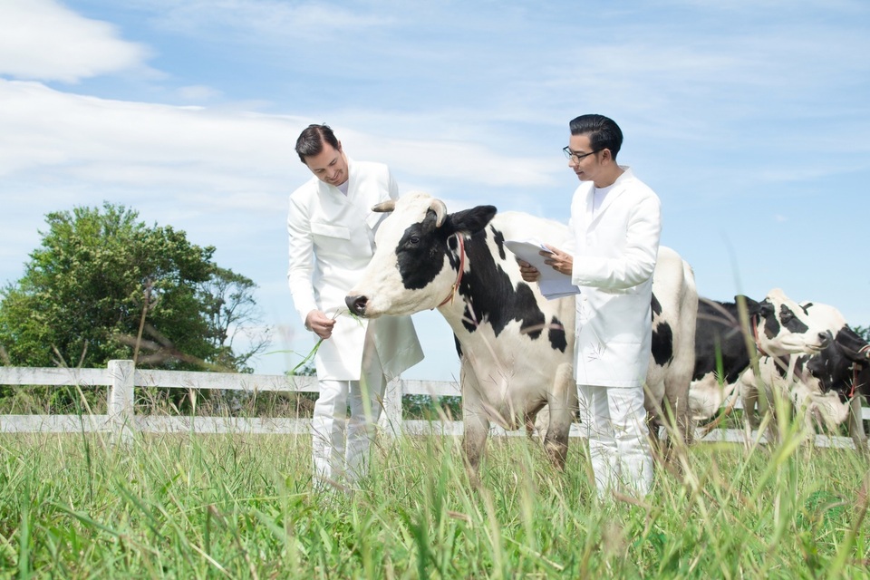 Mẹ “đánh Đông dẹp Tây” tìm nguồn sữa tươi chuẩn trong mơ cho con  - 2