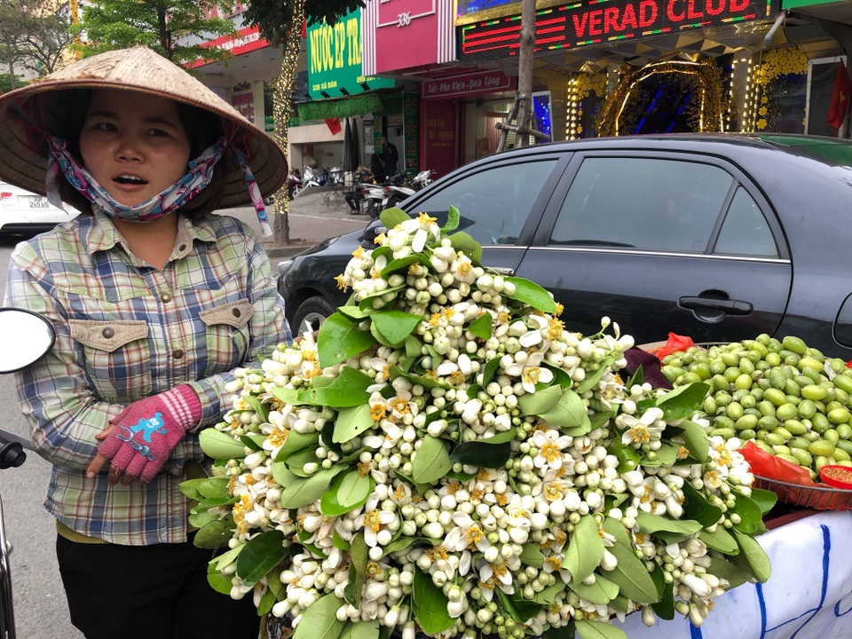 Bên cạnh hoa bưởi, một số tiểu thương còn bán thêm nhót bao tử, dâu tây,… Bên cạnh hoa bưởi, một số tiểu thương còn bán thêm nhót bao tử, dâu tây,…