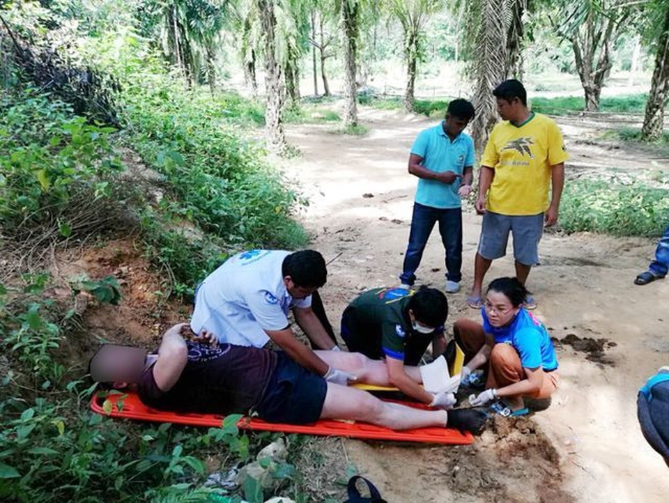 Voi đói tranh cướp đồ ăn của khách du lịch trong lán trại - 1 Voi đói tranh cướp đồ ăn của khách du lịch trong lán trại - 1