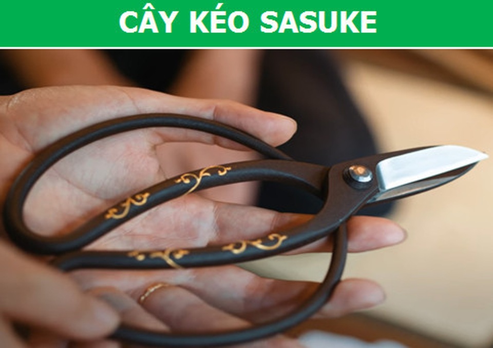Những món đồ có giá trên trời nhưng đắt xắt ra miếng - 4 Những món đồ có giá trên trời nhưng đắt xắt ra miếng - 4