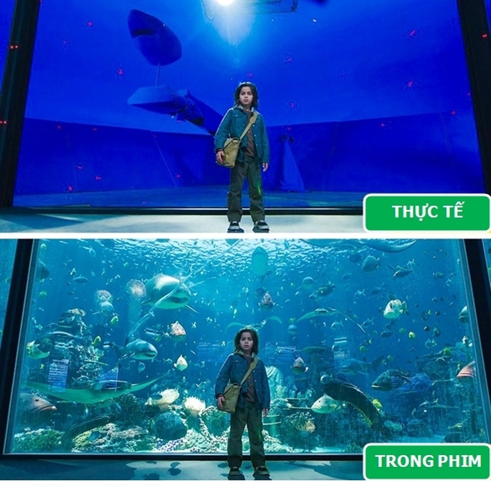 dien_anh_6.jpg dien_anh_6.jpg