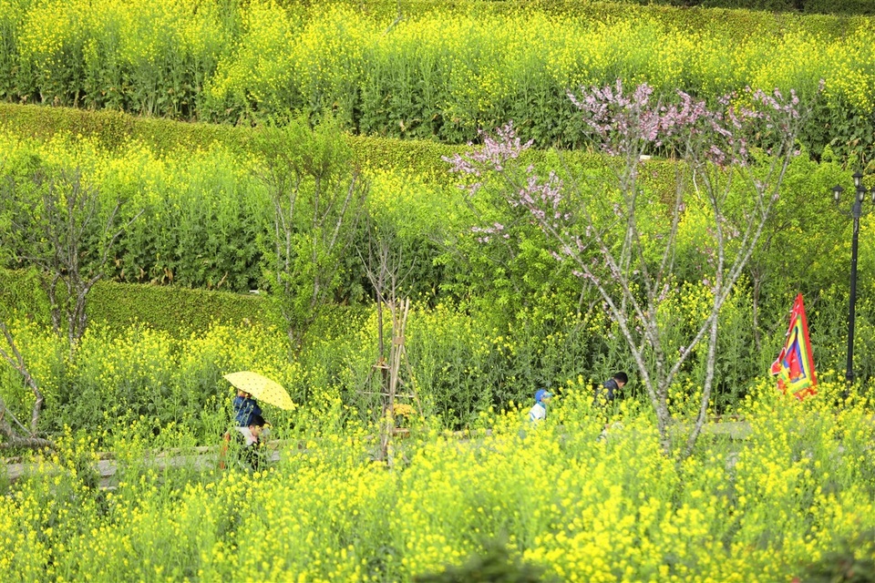 Gom cả mùa xuân để tặng nàng nhân ngày 8/3 - Bạn có làm được không? - 3