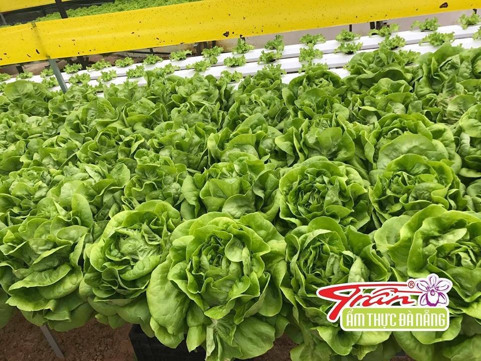 Nguyên tắc kinh doanh ẩm thực Đà Nẵng - 3