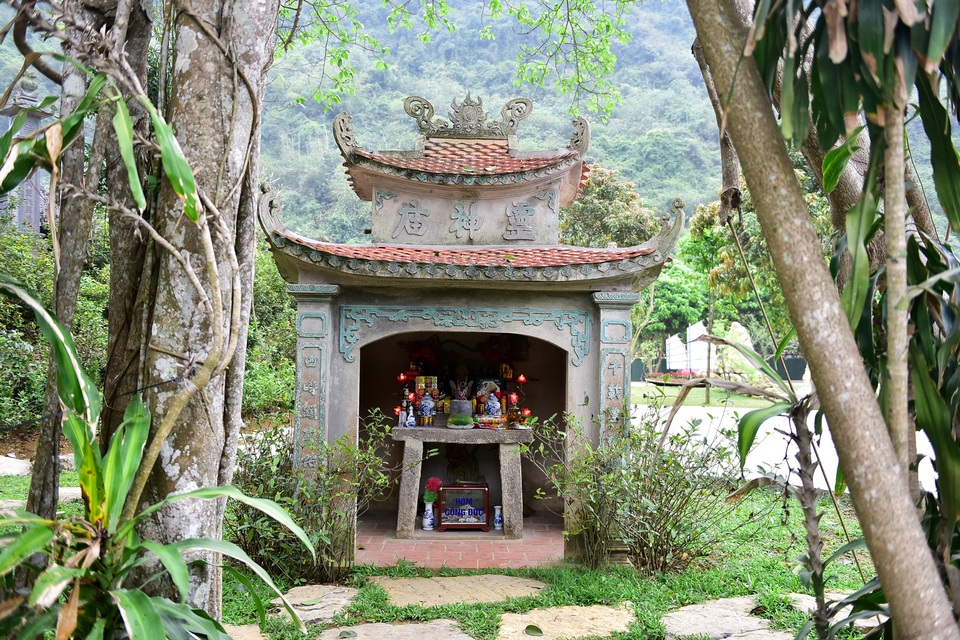 Kỳ lạ cây đa di chuyển ở Ninh Bình - 3 Kỳ lạ cây đa di chuyển ở Ninh Bình - 3
