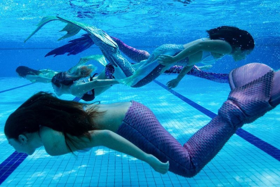 Khám phá nơi đào tạo ra những nàng tiên cá xinh đẹp - 5 Khám phá nơi đào tạo ra những nàng tiên cá xinh đẹp - 5