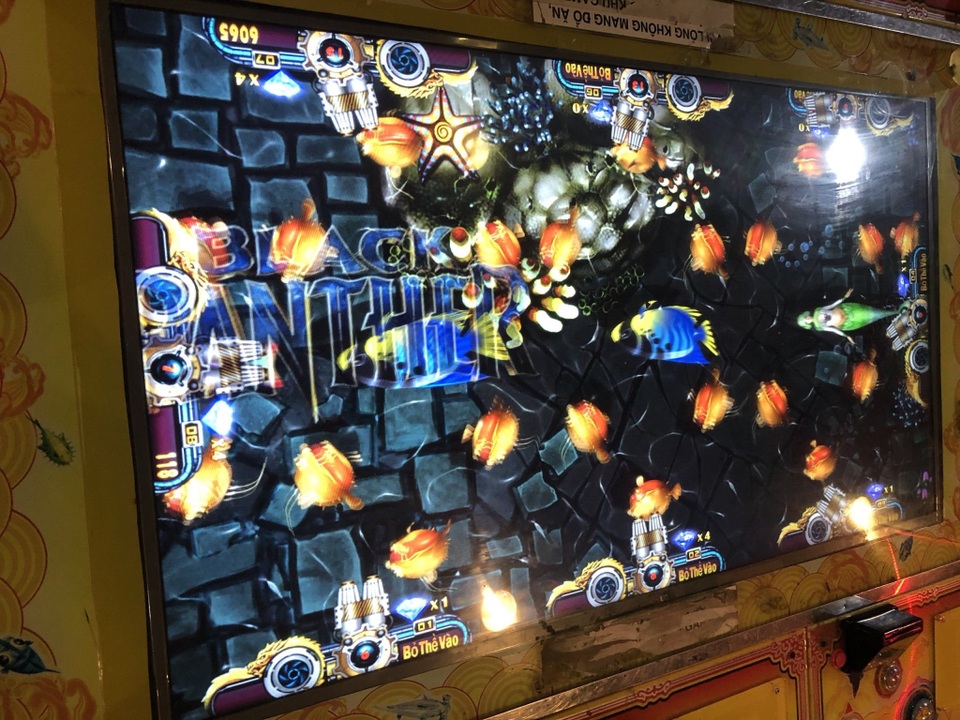 Đà Nẵng: Hàng chục đối tượng đánh bạc trá hình qua game bắn cá - 1 Đà Nẵng: Hàng chục đối tượng đánh bạc trá hình qua game bắn cá - 1