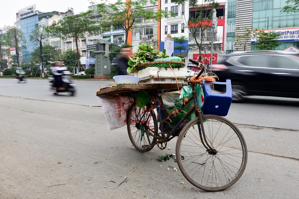 hoa buoi - 13 hoa buoi - 13