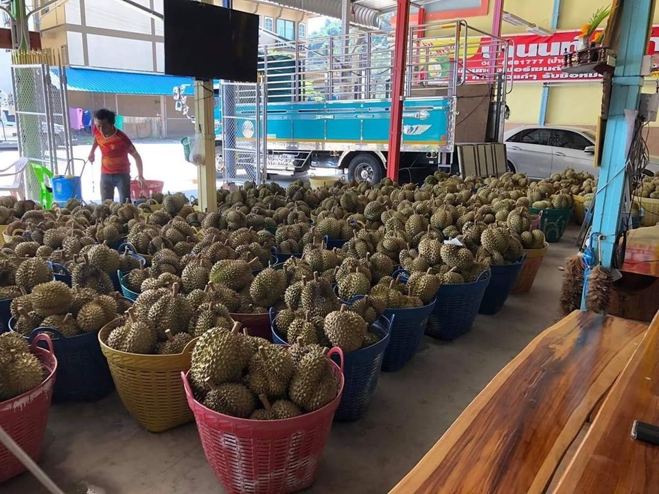 Hồi môn 7 tỷ tiền mặt, 10 xe ô tô, 1 căn nhà: Đại gia sầu riêng kén rể - 2 Hồi môn 7 tỷ tiền mặt, 10 xe ô tô, 1 căn nhà: Đại gia sầu riêng kén rể - 2