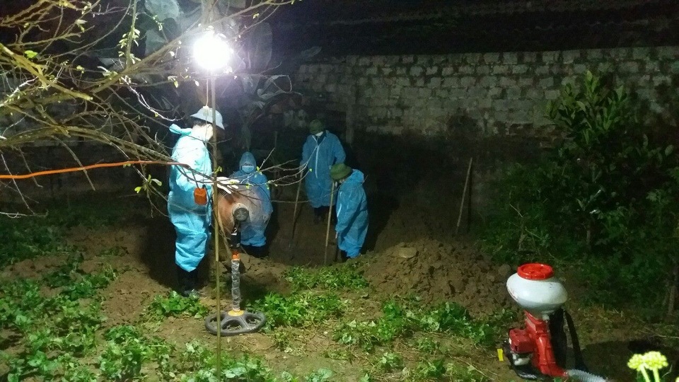 Tiếp tục bùng phát dịch tả lợn châu Phi ở Thanh Hóa - 1 Tiếp tục bùng phát dịch tả lợn châu Phi ở Thanh Hóa - 1