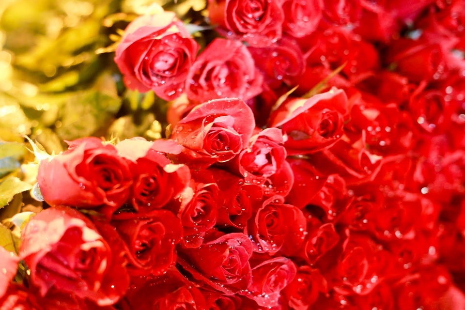 Choáng cảnh đông nghẹt người mua hoa ở chợ đêm Quảng An sát ngày 8/3 - 11 Choáng cảnh đông nghẹt người mua hoa ở chợ đêm Quảng An sát ngày 8/3 - 11