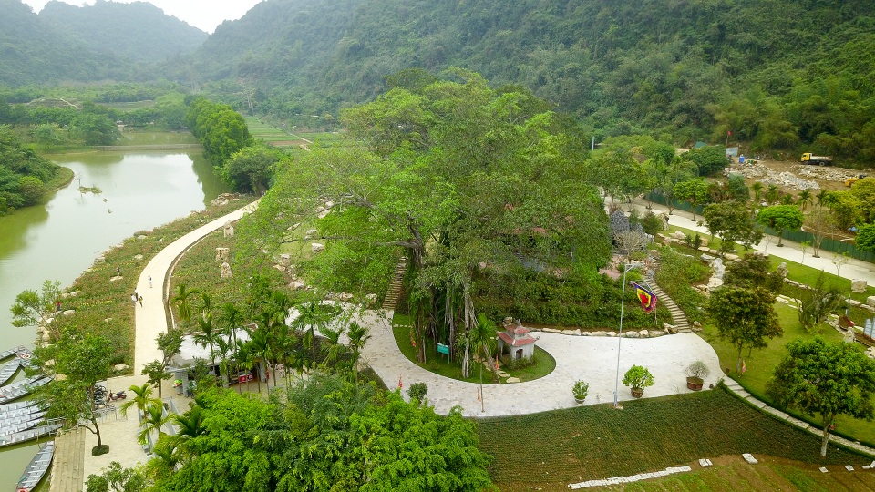 Kỳ lạ cây đa di chuyển ở Ninh Bình - 1 Kỳ lạ cây đa di chuyển ở Ninh Bình - 1