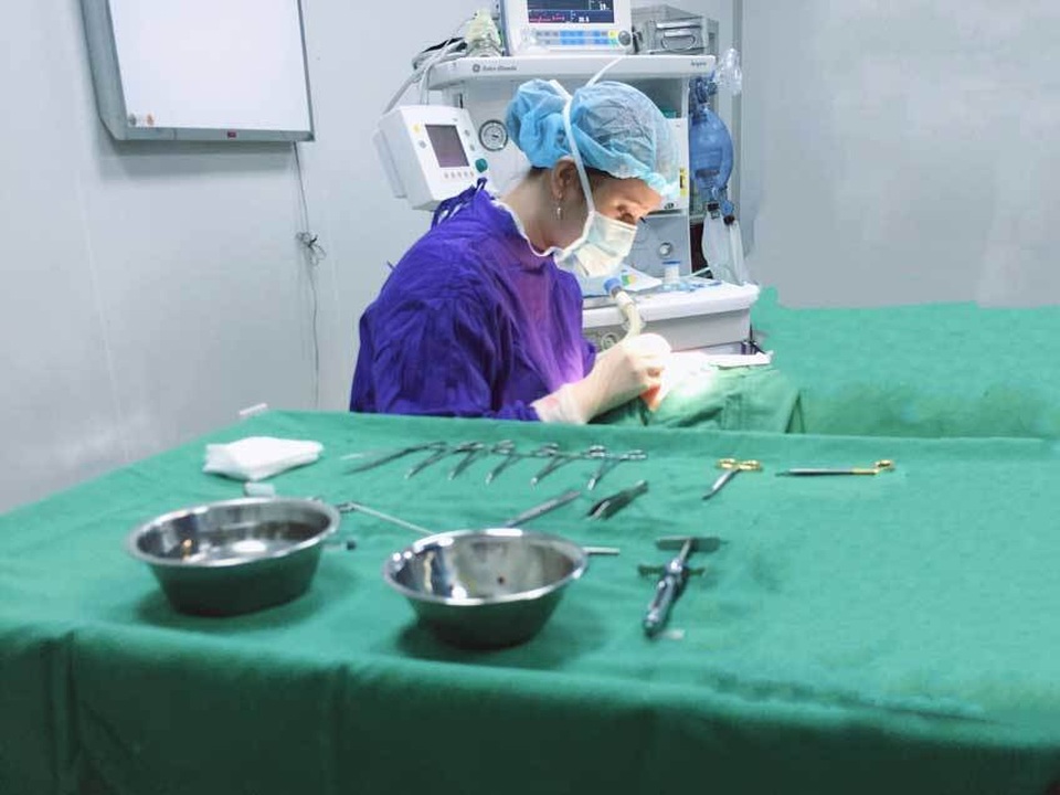 BS-Hong-Nhung.jpg BS-Hong-Nhung.jpg