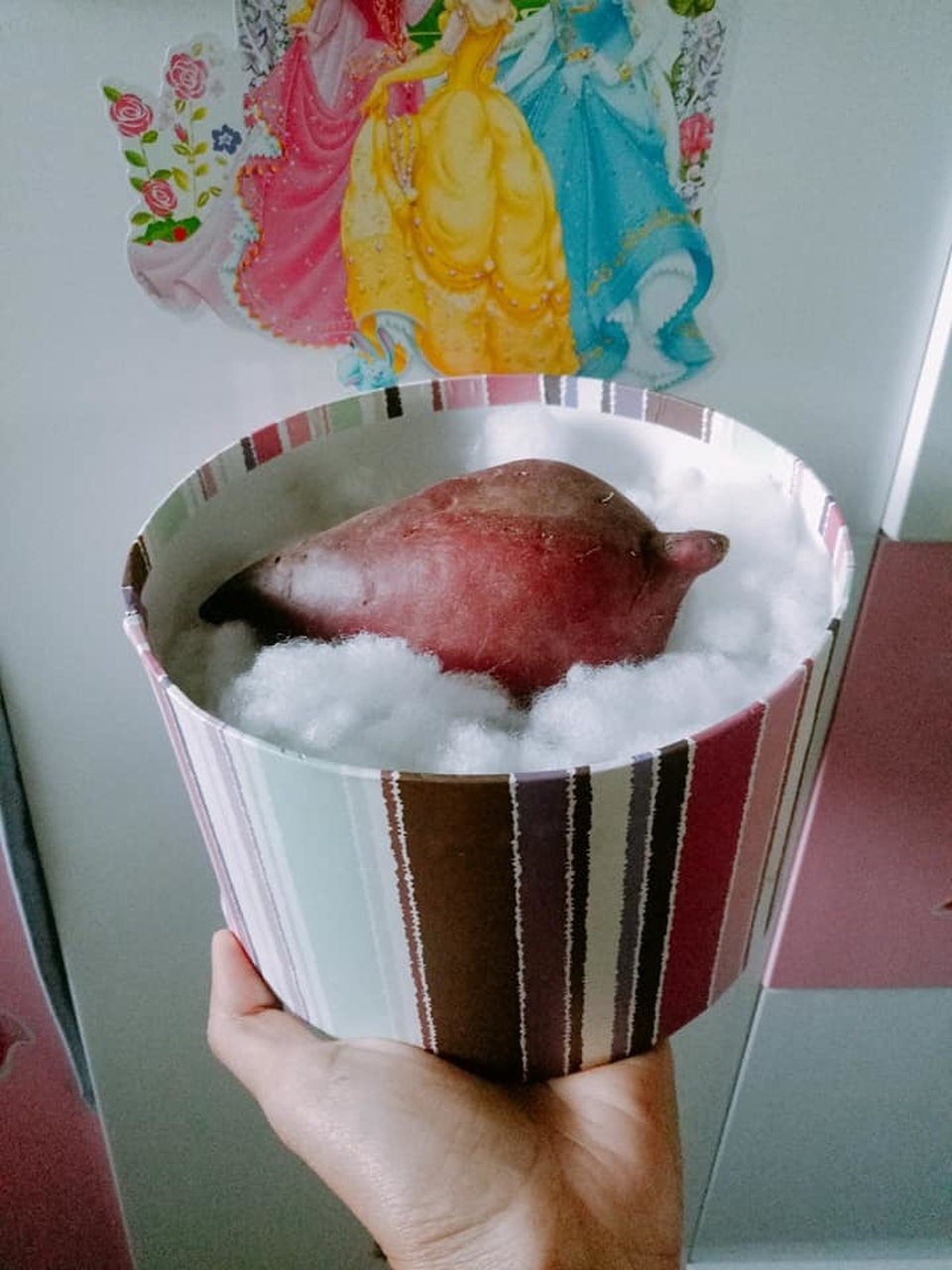 Muôn kiểu quà độc lạ chúc mừng hội chị em nhân dịp 8/3 - 8 Muôn kiểu quà độc lạ chúc mừng hội chị em nhân dịp 8/3 - 8