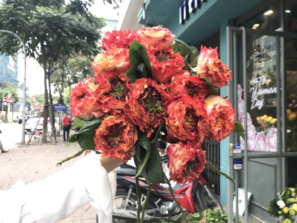rosemonster2.jpg rosemonster2.jpg