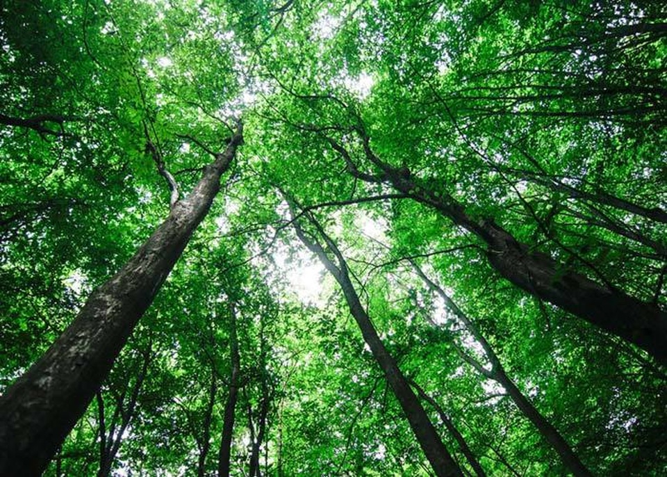 trai_dat_2.jpg trai_dat_2.jpg