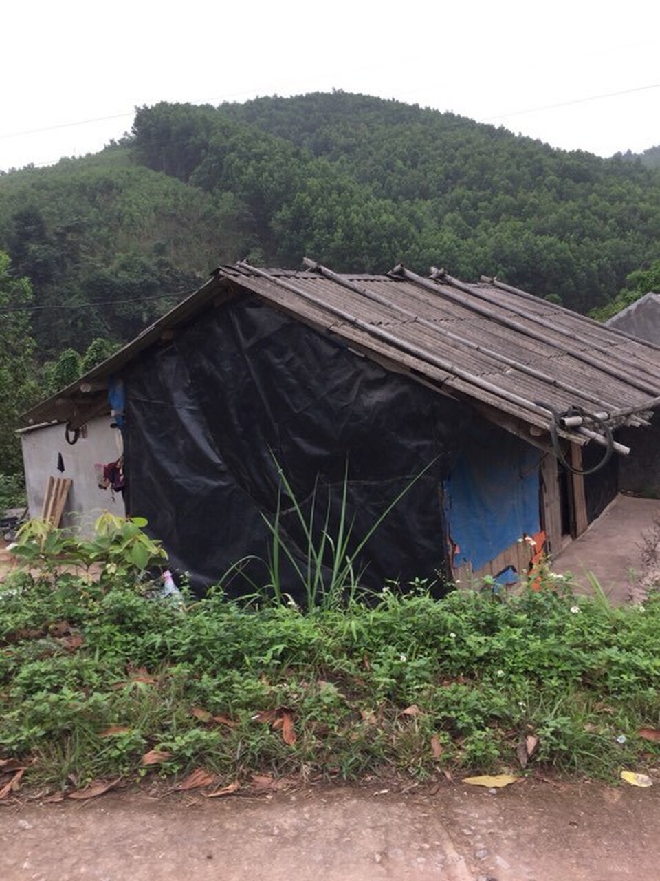 Cảm động bé lớp 2 vùng cao cùng mẹ vượt hơn 100km để học tiếng Anh - 4 Cảm động bé lớp 2 vùng cao cùng mẹ vượt hơn 100km để học tiếng Anh - 4