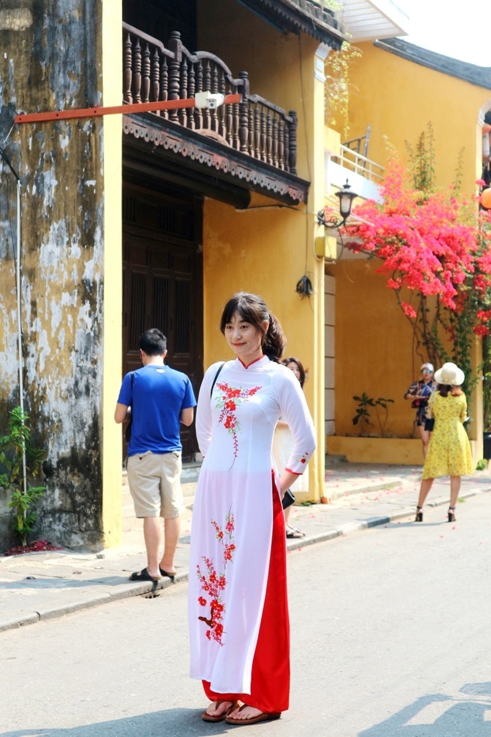 Hoa giấy ở Hội An