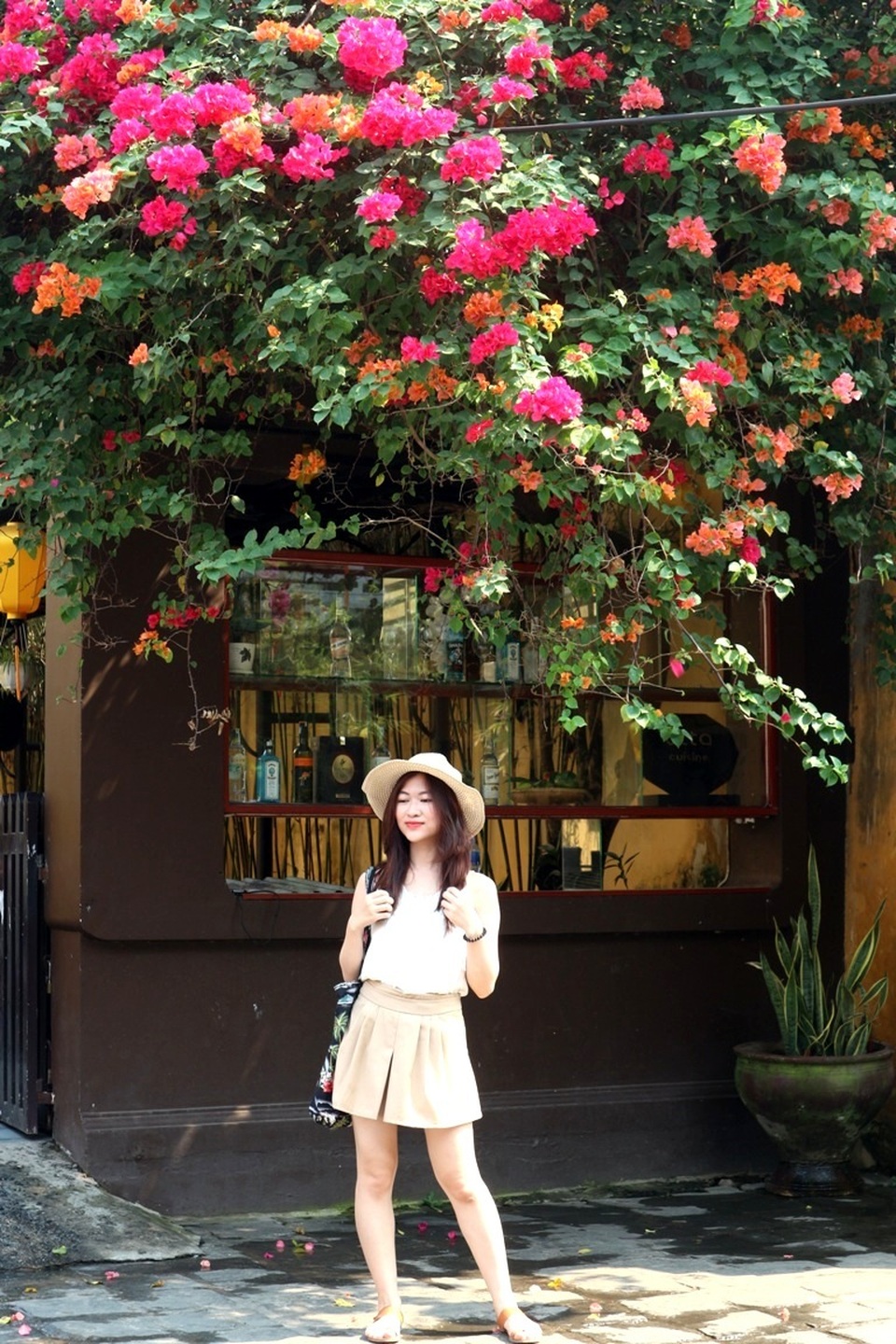 Hoa giấy ở Hội An