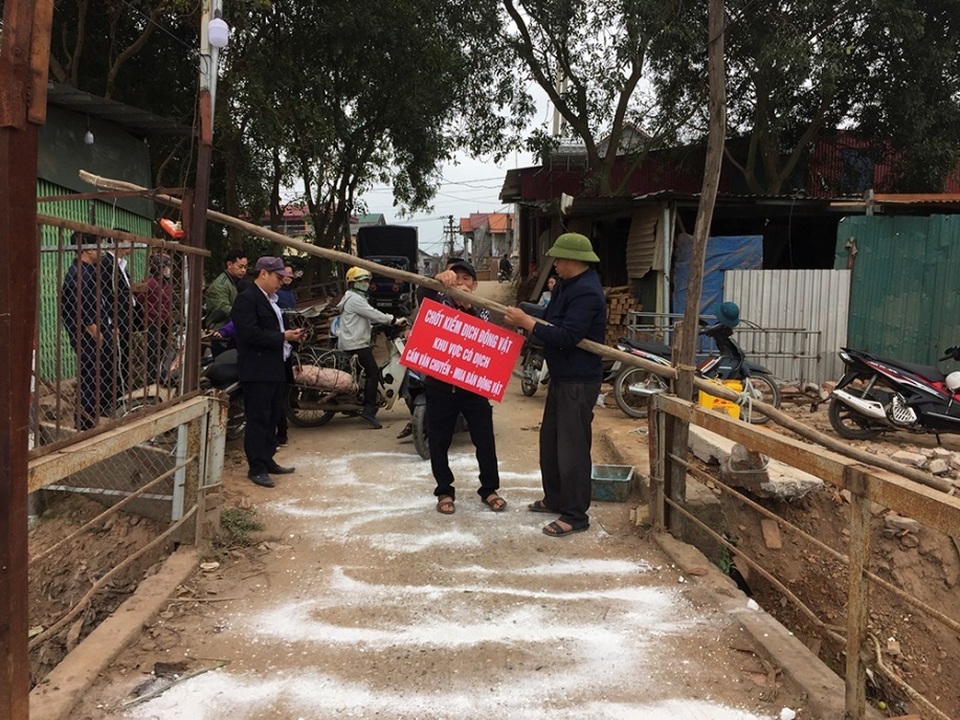 Hà Nội phát hiện thêm ổ dịch tả lợn châu Phi ở Sóc Sơn - 5