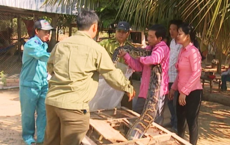 Dua tran dat vo bao dem tha ve khu A2 Vuon QGTC.JPG Dua tran dat vo bao dem tha ve khu A2 Vuon QGTC.JPG