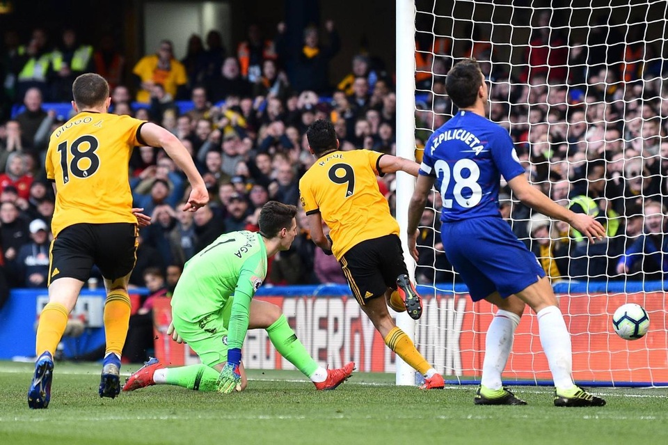 chelsea-wolves-26.jpg chelsea-wolves-26.jpg