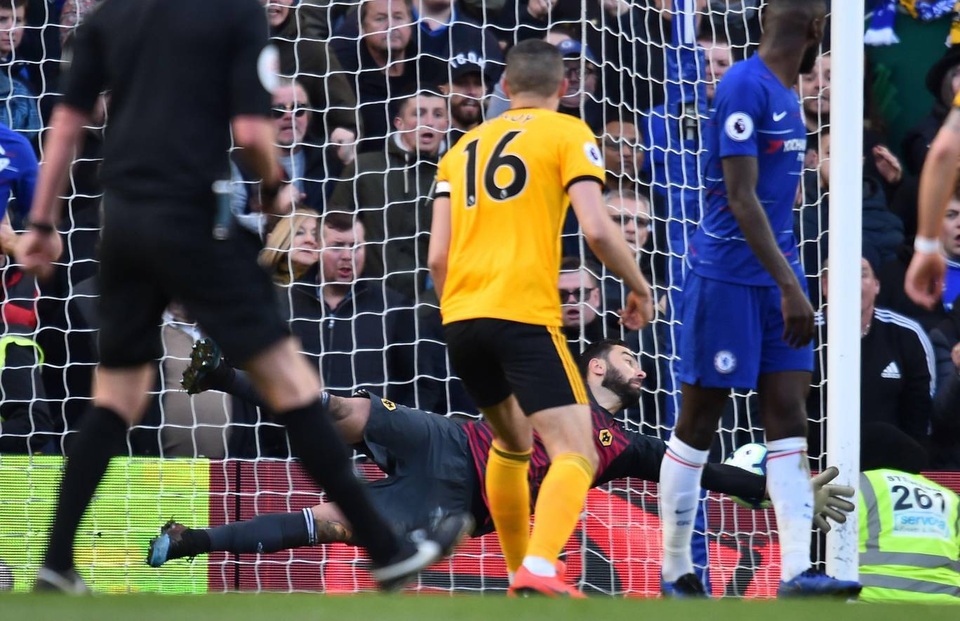 chelsea-wolves-33.jpg chelsea-wolves-33.jpg