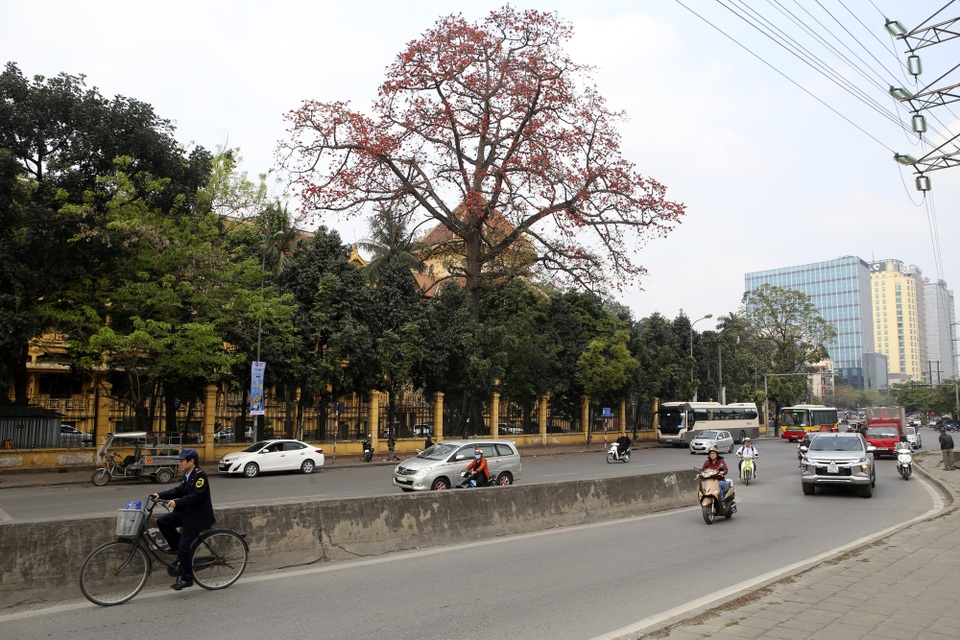 Hà Nội thơ mộng trong sắc đỏ hoa gạo - 1 Hà Nội thơ mộng trong sắc đỏ hoa gạo - 1